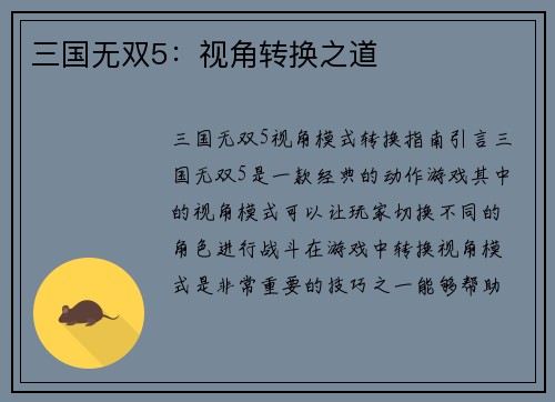 三国无双5：视角转换之道